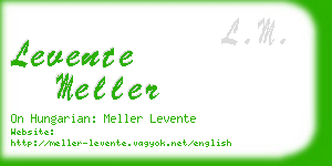 levente meller business card